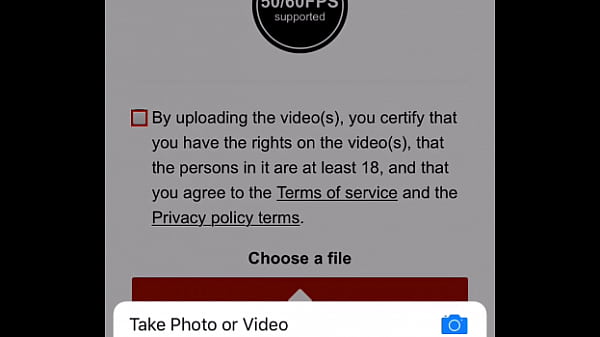 thick latina bitch bones by canines gay [ Duration: 00:54 ]