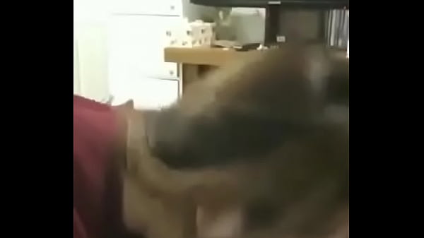 Khmer • Free Porno Video Gram, XXX Sex Tube