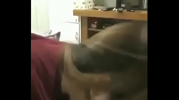 Khmer • Free Porno Video Gram, XXX Sex Tube