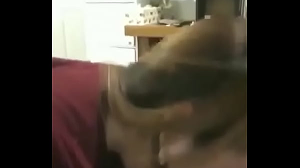 Khmer • Free Porno Video Gram, XXX Sex Tube