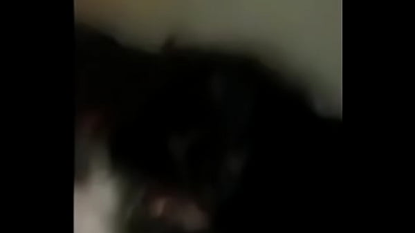 bbc party in her mouth interracial [ Duration: 04:22 ]