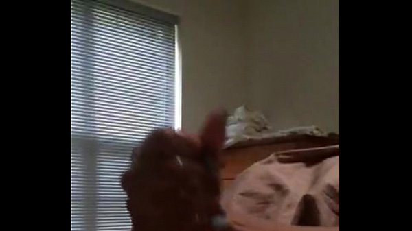 biracial handjob with cumshot interracial [ Duration: 02:42 ]