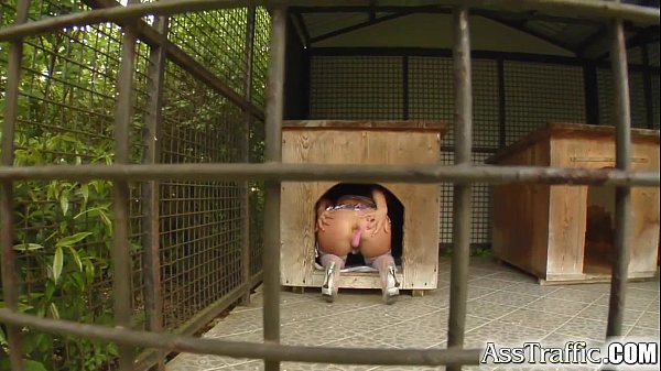 ass traffic chick gets her ass trained by well hung guys cumshot [ Duration: 12:19 ]