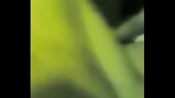 shrmoota masrya gamda awy exotic [ Duration: 38:40 ]