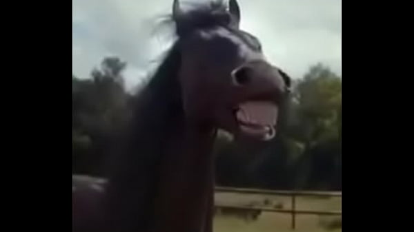 clavando gay [ Duration: 00:33 ]