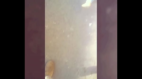 avisando que est aacute moqueada shemale [ Duration: 00:34 ]