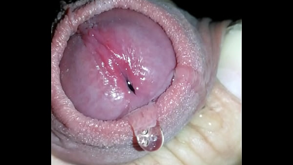 mi jugosa polla sex movie [ Duration: 00:29 ]