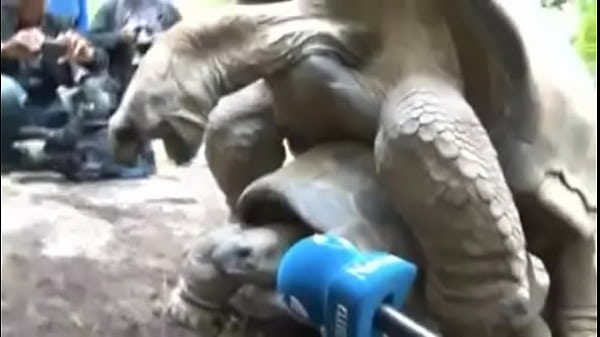 terribles gemidos suelta anal [ Duration: 00:44 ]