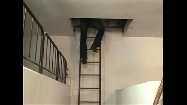 anal on farm anal [ Duration: 27:03 ]