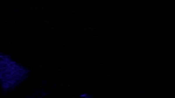 first mmf or other guy sex movie [ Duration: 02:22 ]