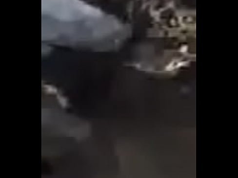 apologise, but, shemale slave lick dick and anal important answer